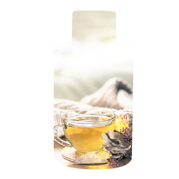 Scentfinity Transcend Plug-in Gift Set