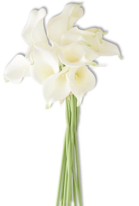 Calla Lily Bundle (12 Stems)