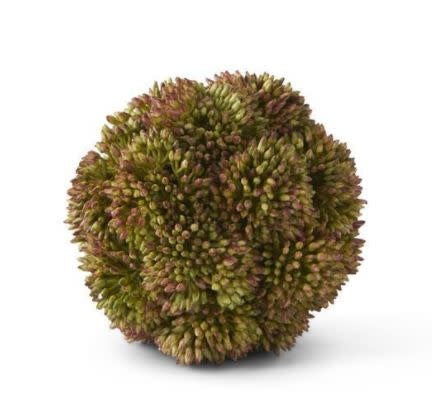 Sedum Ball