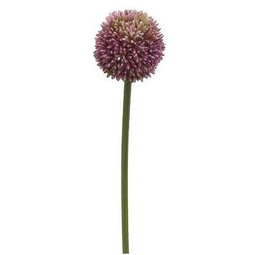 21.5" Allium Spray