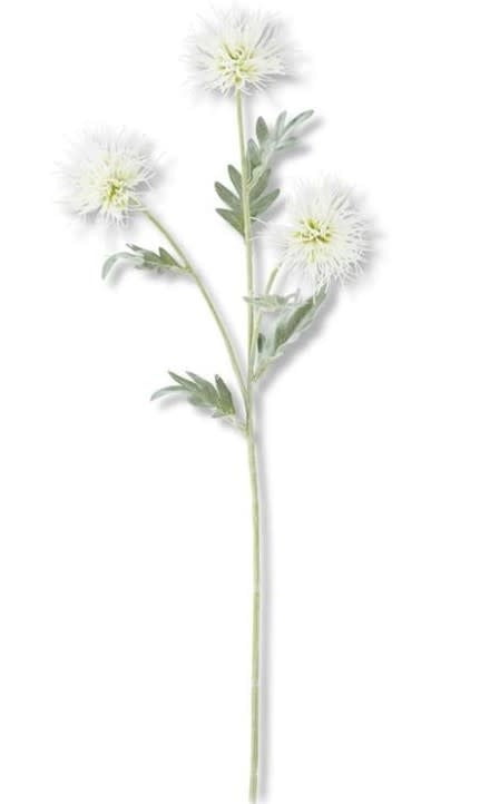 3 Head White Spikey Cactus Dahlia Stem