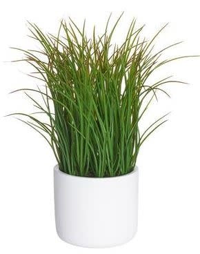 Grass in Cement Pot