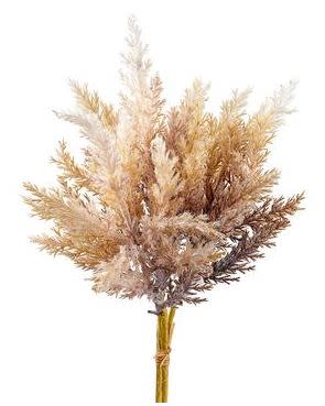 14" Pampas Grass Bundle