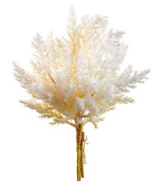 14" Pampas Grass Bundle